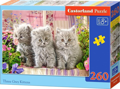 Puzzle Castorland, 260 elemente