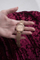 Orë dore Guess Tapestry GW0354L3