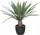 Palmë artificiale Atmosphera Rivi, 52cm, vazo çimento, e zezë