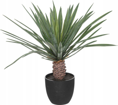 Palmë artificiale Atmosphera Rivi, 52cm, vazo çimento, e zezë
