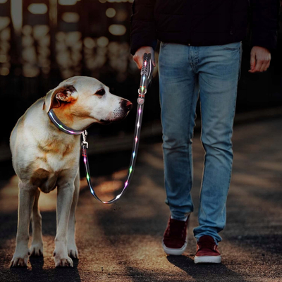 Leash për qen SIGNAL LEASH, me LED shumëngjyrësh, i rikarikueshëm, i kuq