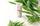 Piling Rexaline Derma Delicate, 30 ml