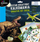 Set kreativ Derform Dinosaur Transfers, fleta me transfera, shkop druri, shumëngjyrësh
