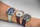 Orë dore Festina Automatic 6846/1