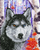 Set pikturimi me gurë DIAMOND DOTZ Forest Wolf, kanavacë me printim të plotë, për të rritur dhe fëmijë 13+