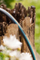 Zorrë uji Gardena Ecoline, 1/2" 12.5mm, 20m, blu gri