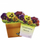 Bloomnotes Flowers - Thinking Gifts