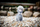 Lodër pelushi INNOGIO Alpaca Soft, 30 cm, gri