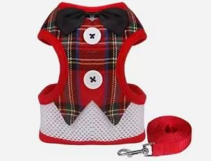 Set këmishë & litar për qen Hutini, e kuqe, S  10339