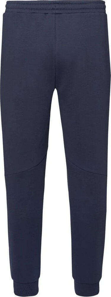Pantallona sportive Iguana Milton Pants, për meshkuj, M, gri