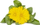 Kapsula bimore Click & Grow Calendula, për Smart Garden, pako me 3 copë, lule të verdha