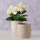 Vazo lulesh Boltze Avantiko, qeramike, Ø14cm, bezhë mat