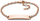 Byzylyk Fossil JF02720791