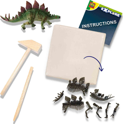 Set gërmimi dinosauri SES Creative 2 në 1 Stegosaurus, skelet dino