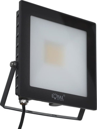Reflektor LED Loyal Lighting LY-FLE30, 30W, 4250 lm, 4000K, IP65, i zi