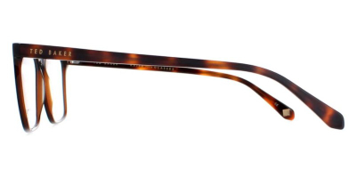 Syze Optike Ted Baker 8209 25