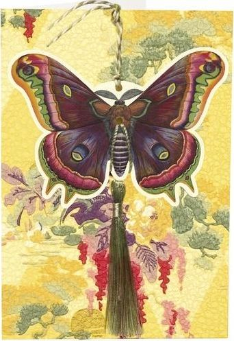 Kartolinë Madame Treacle Butterfly B6, me tag dhurate, me zarf, shumëngjyrëshe