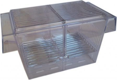 Kuti për rritjen e peshqve Aqua Nova, 20.5 x 10 x 10.5 cm
