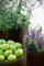 Set vazo cilindrike Keter Cylinder Planter, set 3 copë, plastikë rezistente, gri antracit