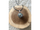 Qafore Mummy Bell K3ZM18