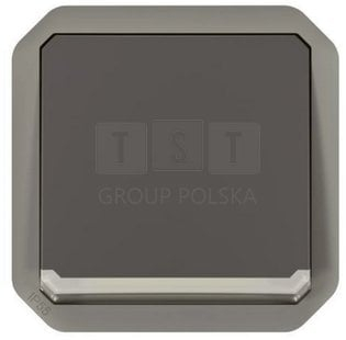 Çelës ndriçues Legrand Plexo, 10AX 250V, IP55 IK08, antracit