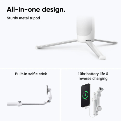 INSTA 360 FLOW 2 STANDARD