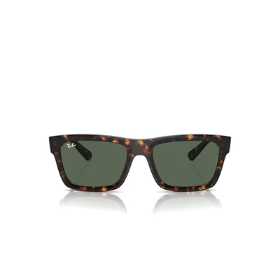 Ray-Ban RB4396 135971 54
