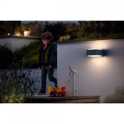 Dritë murale e jashtme Philips Hedgehog, 1xE27 42W, IP44, antracit