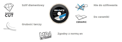 Disk diamant Graphite 57H642, 125mm, 22.2mm, gri