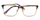 Syze Optike Ted Baker 4294 3
