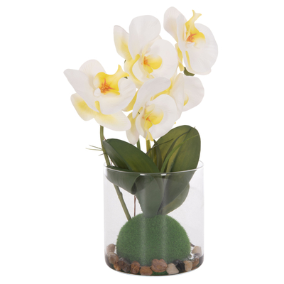 Bimë dekorative sintetike Phalaenopsis HM4738, vazo qelqi, 30cm, jeshile e bardhë