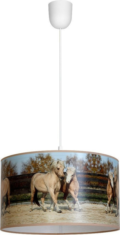 Llambë tavani Eko - Light: Horses, E27, 60W