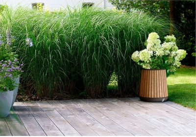 Саксија за цвеќе Keter Garden Planter 261030, 51cm, технополимер, кафеава боја