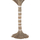Pemë dekorative Tropic 210Hcm (HM4325)