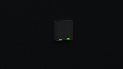Ndërprerës smart i dyfishtë Tesla Smart Switch Dual