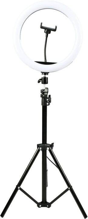 Dritë rrethore Denver RLT-1201, 12", tripod 210cm