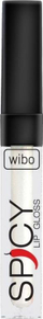 Gloss buzësh Wibo Spicy Lip Gloss 10, 3ml, me efekt volumizues