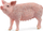 Figurë lodër Schleich Pig, kafshë fermë, shumëngjyrëshe