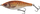 Karrem peshkimi Savage Gear 3D Roach Jerkster 63, 6.3cm, 8g Slow Sink, Gold Fish PHP