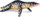 Figurinë dinosauri Collecta Liopleurodon, lodër edukative, shumëngjyrëshe