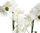 Bimë artificiale Atmosphera Orchid, me vazo qeramike, 53 cm, e bardhë