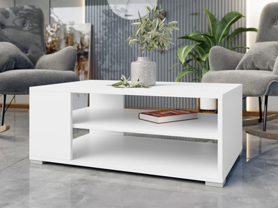 Tavolinë për kafe Toteri (100 x 40 x 65)