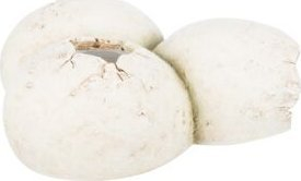 Strehimore terrariumi Trixie Reptile Cave Eggs, rrëshirë poliestre, 15 × 6 × 12 cm, e bardhë