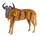 3d Paper Model Wildebeest - Fridolin