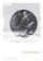 Jackson Pollock Phaidon Focus - Helen Harrison
