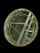 Tabak Dekorativ 2/1 30cm/36cm , gold . UNIMIKS
