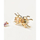 Vathë PDPAOLA COURAGE Beetle AR01-368-U