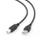 Gembird USB-A кон USB-B кабел, 1m, црн