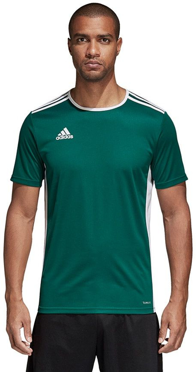 Fanellë futbolli për meshkuj Adidas Entrada 18 JSY, S, e gjelbër