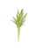 Krem për fytyrë për fytyrë Garnier Bio, 50 ml